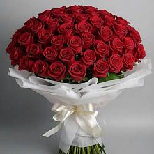 Букет 101 Красная роза Блэк Мэджик в Подгоренском