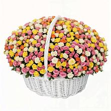 Премиум букет из: Розы #REPLACE_PRED# Подгоренском