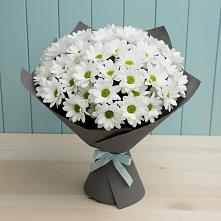 Букет цветов из:  Хризантемы #REPLACE_PRED# Подгоренском
