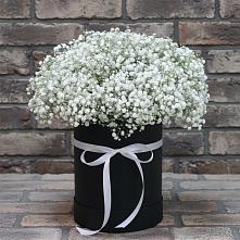 Цветочная композиция из Гипсофила в шляпной коробке в Подгоренском